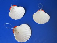 Great Scallop Shell with Santa Face Ornaments <font color=red> Wholesale</font>, 4 inches - 60 @ $1.70 each
