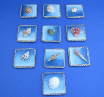 2"x2" Assorted Seashell Magnets with Rope Border - 20 @ $1.44 each