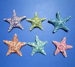 Decorative Dyed Jungle Starfish <font color=red> Wholesale </font> - Case of 203 @ $1.20 each