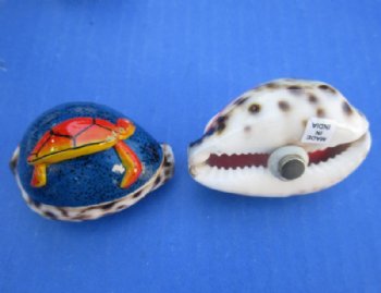 Painted Tiger Cowrie Shell Magnets with 3d Sealife 2"-2-1/4" - 20 @ $2.25 each