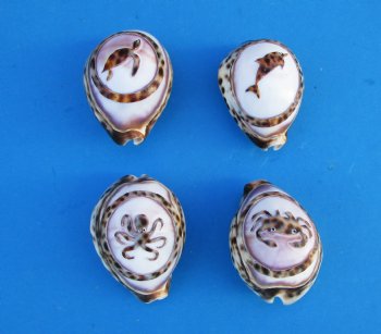 Carved Sealife Tiger Cowrie Shell Magnets, Turtle, Dolphin, Crab, Octopus - 10 @ $2.08 each; 30 @ $1.87 each