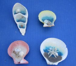 Seashell Magnets wi...