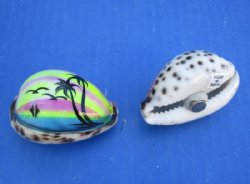 Painted Tiger Cowrie Shell Magnets with Beach Scene 2"-2-1/4" - 10 @ $2.10 each
