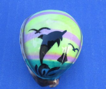 Tiger Cowrie Shell Magnets with Painted Dolphin <font color=red> Wholesale</font> 2"-2-1/4" - 80 @ $1.17 each