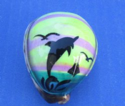 Tiger Cowrie Shell Magnets with Painted Dolphin 2"-2-1/4" - 10 @ $2.10 each