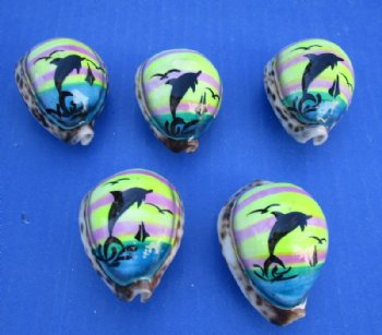 Tiger Cowrie Shell Magnets with Painted Dolphin <font color=red> Wholesale</font> 2"-2-1/4" - 80 @ $1.17 each