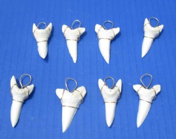 1-3/4 inches Modern Day Shortfin Mako Shark Tooth Pendant - 2 @ $18.00 each
