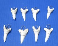 1-7/8 inches Large Current Day Mako Shark Tooth Pendant - 2 @ $19.20 each 