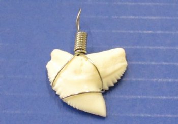 Authentic Tiger Shark Tooth Pendants for Sale, 1 to 1-1/8 inches, wrapped with silver wire - Pack of 5 @ $9.20 each