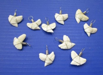 1 to 1-1/8 inches Authentic Tiger Shark Tooth Pendants, wrapped with silver wire<font color=red> Wholesale</font>  -  50 @ $5.00 each