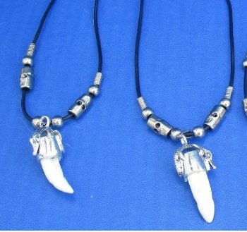 Genuine Alligator Tooth Necklace with Silver Skull Face Beads and 1/2 to 1-1/2 inches Gator Tooth - 3 @ $7.50 each