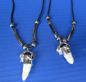Authentic Alligator Tooth Necklaces for Sale with Gator Tooth Pendants, 20 inches - 3 @ $7.50 each