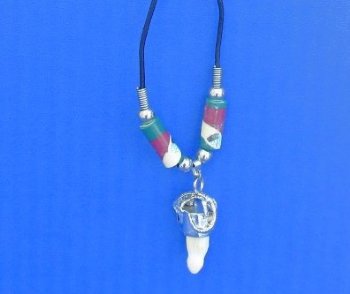 Mexican Flag Alligator Tooth Necklace with 1/2 to 1-1/2 inches Gator Tooth, 20 inches - 3 @ $7.50 each