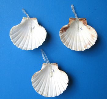 Great Scallop Santa Seashell Ornament with Glitter <font color=red> Wholesale</font>, 4 inches - 60 @ $1.50 each