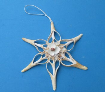Large Seashell Flower Ornaments Made out of Center Cut Hemifusus Ternatanus Shells <font color=red> Wholesale</font>, 7 by 7 inches - 72 @ $1.25 each