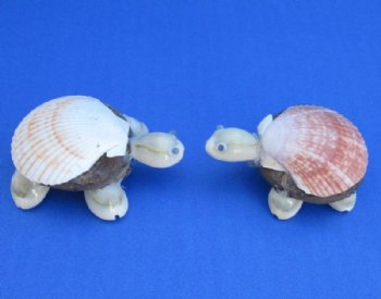 Scallop Shell Sea Turtle Novelties with Googly Eyes - 25 @ $1.04 each