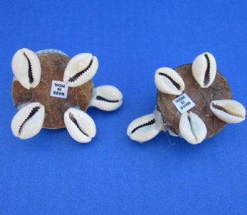 Wood and Cowrie Shell Sea Turtle Novelties <font color=red> Wholesale</font> with Googly Eyes - 175 @ $.58 each