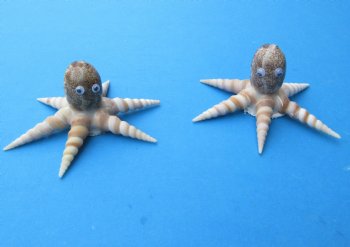 5 inches Seashell Octopus Novelty Made Out of Turritella and Cowry Shells  - 6 @ $2.40 each