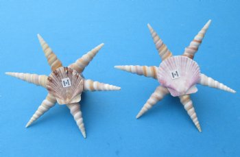 5 inches Seashell Octopus Novelty Made Out of Turritella and Cowry Shells  - 6 @ $2.40 each