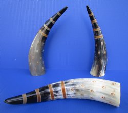 Painted Decorative Buffalo Horns with Stripes and <font color=red> (CLOSEOUT 2 @ $9.60 EACH)</FONT>Circles 12 to 15 inches -  2 @ $12.80 each 