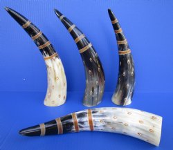 Painted Decorative Buffalo Horns with Stripes and Circles,<font color=red> Wholesale</font> 12 to 15 inches  - 12 $ $8.00 each <FONT COLOR=RED>CLOSEOUT 18 @ $5.00 EACH</FONT>
