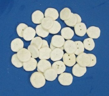 1 to 2 inches Sea Cookies, Baby Sea Biscuits - Bulk Pack of 200 @ .23 each