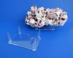 Seashell Stands, Drinking Horn Stands, Rock Stands