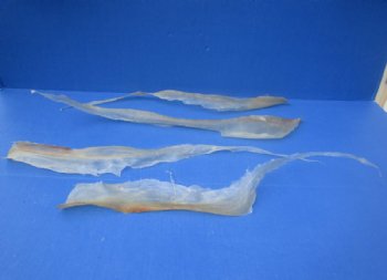 Dried Natural Deer Sinew, Tendons <font color=red> Wholesale</font>, 15 to 24 inches long - 12 @ $7.85 each