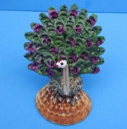 Seashell Peacock No...