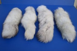 13 inches Tanned Blue Fox Tail Ball Chain Keychains <font color=red> Wholesale</font> - 10 @ $9.00 each