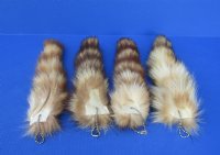 Crystal Dyed Tanned Raccoon Tail Key Chains 7 to 11 inches <font color=red> Wholesale</font> - 18 @ $5.25 each