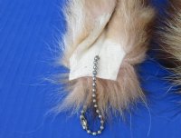 Crystal Dyed Tanned Raccoon Tail Key Chains 7 to 11 inches <font color=red> Wholesale</font> - 18 @ $5.25 each
