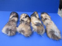 Finn Raccoon Tail with Ball Chain,13 to 16 inches for $12.75 each 