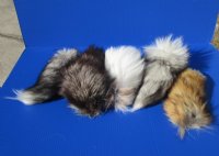 10 to 13 inches Assorted Tanned Fox Tail Key Chains <font color=red> Wholesale</font>  with Attached Ball Chain Clasp - Case of 12 @ $7.75 each