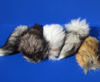 10 to 13 inches Assorted Tanned Fox Tail Key Chains <font color=red> Wholesale</font>  with Attached Ball Chain Clasp - Case of 12 @ $7.75 each
