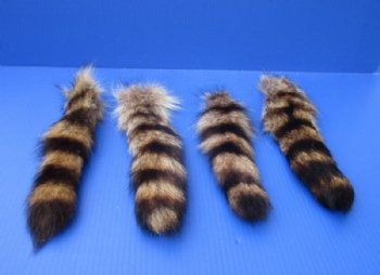 10 to 12 inches Raccoon Tails with Ball Chains  <font color=red> Wholesale</font>-  12 @ $7.65 each