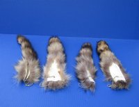 10 to 12 inches Raccoon Tails with Ball Chains  <font color=red> Wholesale</font>-  12 @ $7.65 each