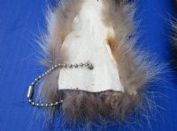 10 to 12 inches Raccoon Tails with Ball Chains  <font color=red> Wholesale</font>-  12 @ $7.65 each