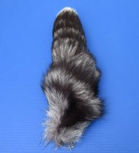 Silver Fox Tail Key Chains<font color=red> Wholesale</font> 15 to 18 inches   - 12 @ $7.75 each