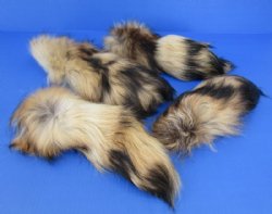 11 to 13 inches Raccoon Dog Tail Key Chains (Tanuki Tails) <FONT COLOR=RED> Wholesale</font>-14 @ $6.50 each