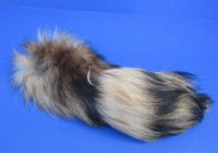 11 to 13 inches Raccoon Dog Tail Key Chains (Tanuki Tails) <FONT COLOR=RED> Wholesale</font>-14 @ $6.50 each