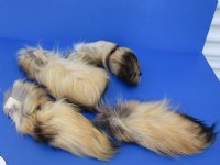 11 to 13 inches Raccoon Dog Tail Key Chains (Tanuki Tails) <FONT COLOR=RED> Wholesale</font>-14 @ $6.50 each