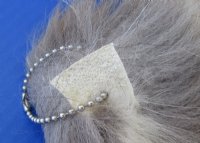 11 to 13 inches Raccoon Dog Tail Key Chains (Tanuki Tails) <FONT COLOR=RED> Wholesale</font>-14 @ $6.50 each