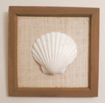 8 by 8 inches Wood Framed White Scallop Shell Wall Art - $5.99 each