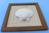 8 by 8 inches Wood Framed White Scallop Shell Wall Art - $5.99 each