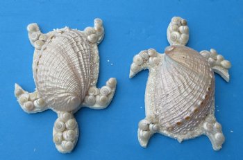 Small Pearl Abalone Shell Turtle Wall Plaques <font color=red> Wholesale</font>, 4-1/2 by 3-1/2 inches - 60 @ $1.60 each