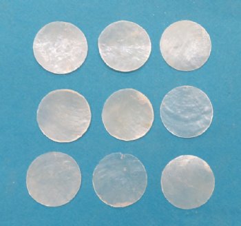 1-1/2 inches Capiz Shells, Windowpane oysters - 100 @ .15 each; 500 @ .13 each