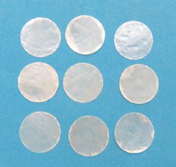 1 inch Small Capiz Shells for Shellcraft Production <font color=red> Wholesale</font>  - 1500 @ .06 each