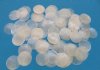 2-1/2 inches Wholesale Capiz Shells in Bulk, Windowpane Oyster Shells - Case of 700 @ .14 each