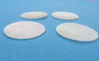 3 inches Capiz Shells <font color=red> Wholesale</font>  - 500 @ .27 each